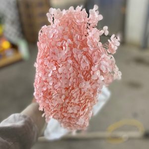 Hoa Cẩm Tú Cầu Hồng Đậm Khô A