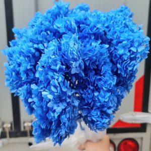 Hoa Cẩm Tú Cầu Xanh Khô