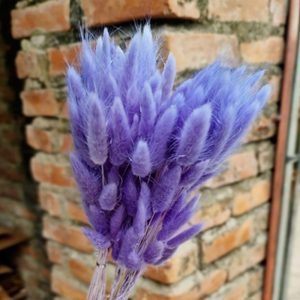 Hoa Cỏ Đuôi Thỏ Khô – Xanh Tím A
