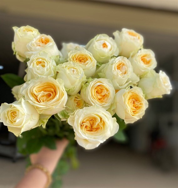 Hoa Hồng ButterCup Đà Lạt