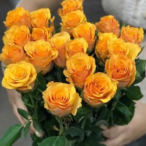 Hoa Hồng Côn Minh – Cam Cát Vàng A