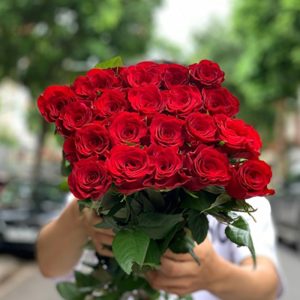 Hoa Hồng Côn Minh – Đỏ Cao Nguyên A
