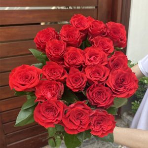 Hoa Hồng Côn Minh – Đỏ True Love A