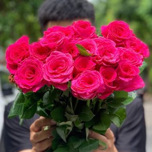 Hoa Hồng Côn Minh – Freud (pink floy) A