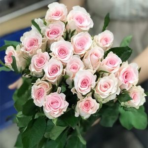 Hoa Hồng Côn Minh – Kem Dâu A
