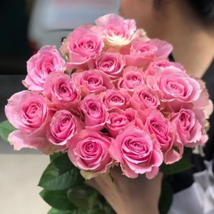 Hoa Hồng Côn Minh – Kem Hồng A