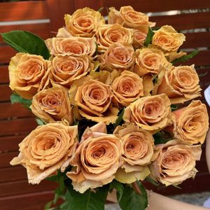 Hoa Hồng Côn Minh – Mocha A