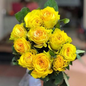 Hoa Hồng Côn Minh – Ohara Vàng A