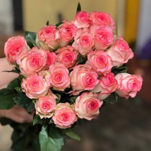 Hoa Hồng Côn Minh – Song Hỷ A