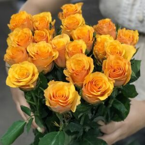 Hoa Hồng Côn Minh Cam Cát Vàng