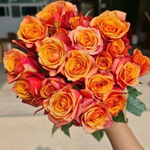 Hoa Hồng Đà Lạt Cam Cà Phê