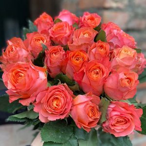 Hoa Hồng Đà Lạt Cam Cà Rốt