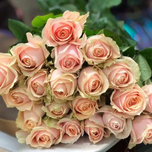 Hoa Hồng Đà Lạt Cam Celona