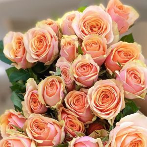 Hoa Hồng Đà Lạt Cam Nghệ Viền