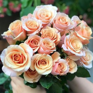 Hoa Hồng Đà Lạt Cam Ngọc Trai