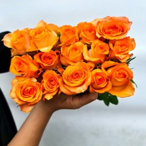 Hoa Hồng Đà Lạt Cam Quốc Vương
