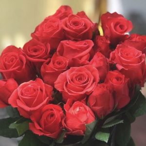 Hoa Hồng Đà Lạt Đỏ Ớt