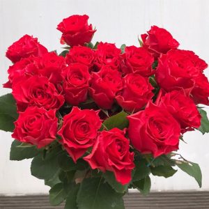 Hoa Hồng Đà Lạt Đỏ Pháp