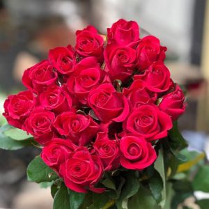 Hoa Hồng Đà Lạt Đỏ Sa