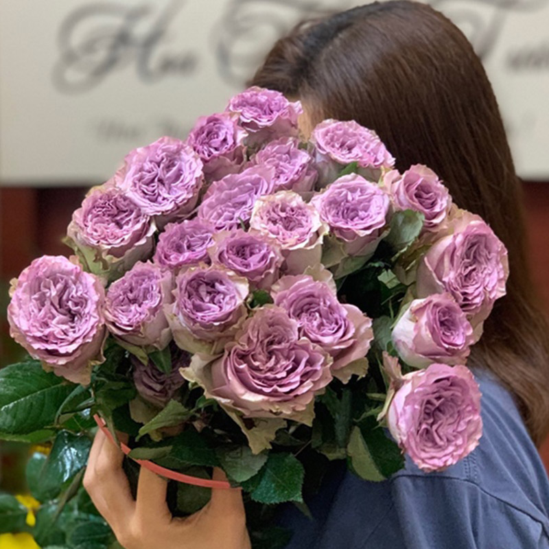 Hoa Hồng Đà Lạt Ohara Tím