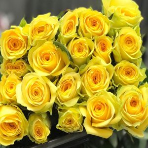 Hoa Hồng Đà Lạt Ohara Vàng