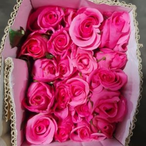 Hoa Hồng Đà Lạt Pink Mondial