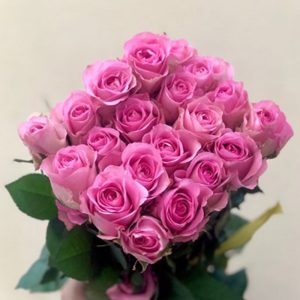 Hoa Hồng Đà Lạt Sen nhí
