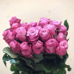 Hoa Hồng Đà Lạt Tím Cồ