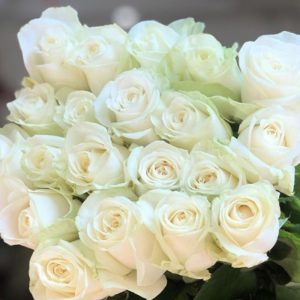 Hoa Hồng Đà Lạt Trắng Cồ