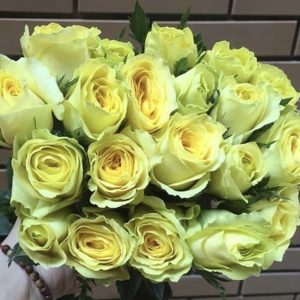 Hoa Hồng Đà Lạt Vàng Chanh