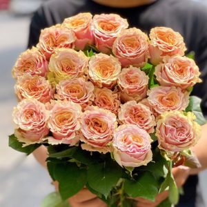 Hoa Hồng Hồng Đà Lạt Bella