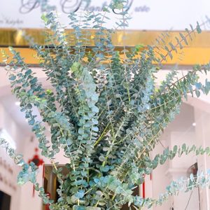 Hoa Lá Bạc – Nhỏ A