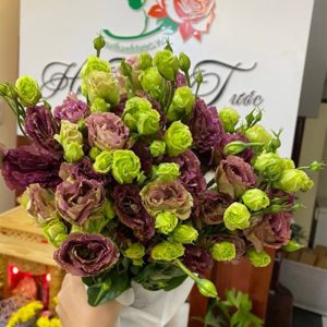 Hoa Lan Tường – Cà Phê A