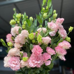 Hoa Lan Tường – Hồng Quang