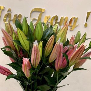 Ly Đơn Hồng